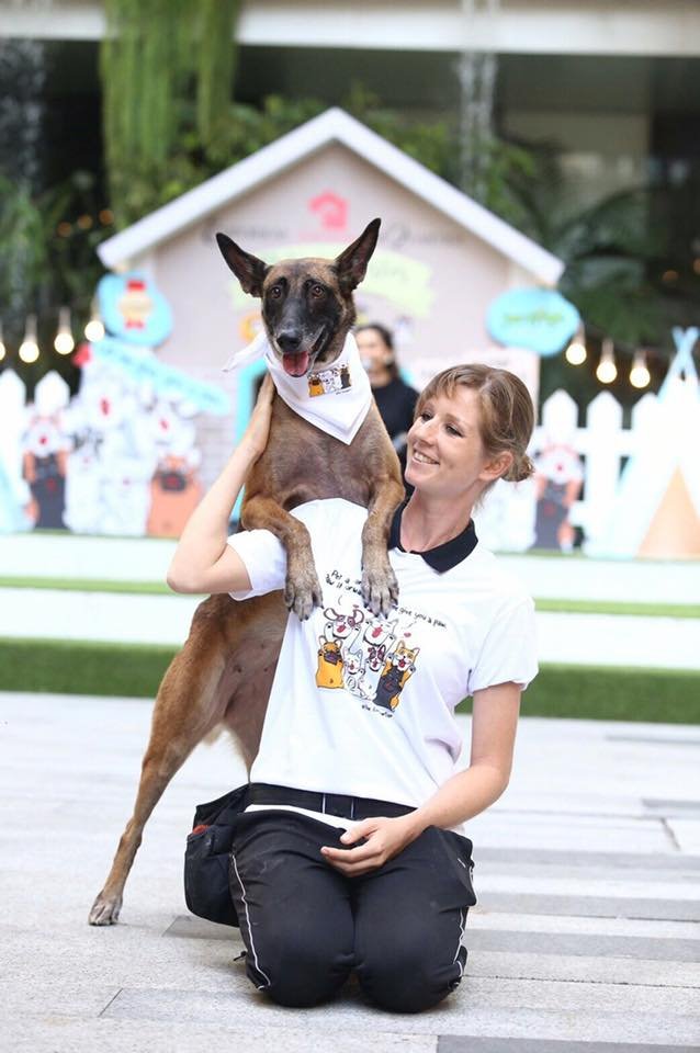 Dog Training Bangkok