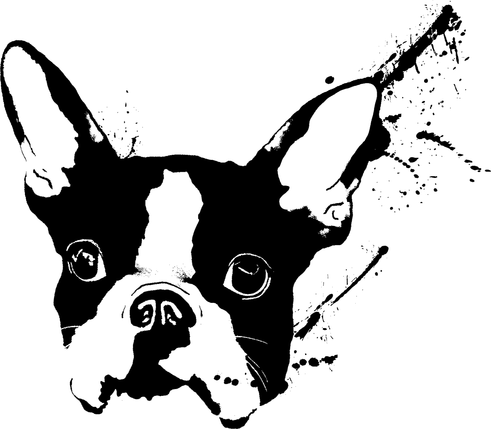 Barking Dog Kani Kraze