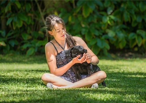 Puppy Training Bangkok