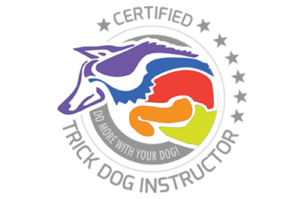 Dog Training Bangkok