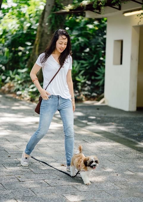 Puppy Training Bangkok