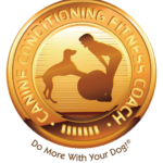 Bangkok certified Dog Physiotherapy